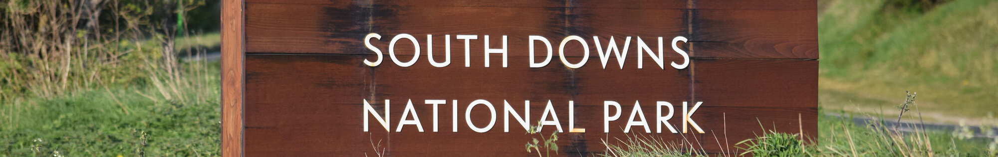 Best campsites in the South Downs National Park background image