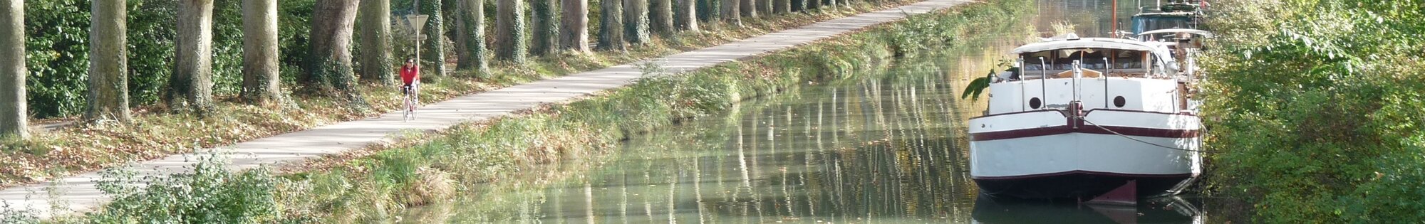 Walking and Cycling background image