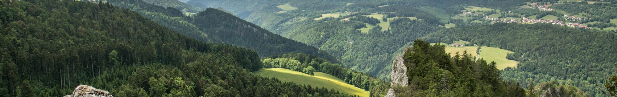 History of Franche Comté background image