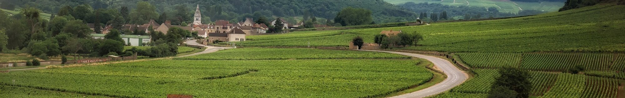 Walking and Cycling in Burgundy background image