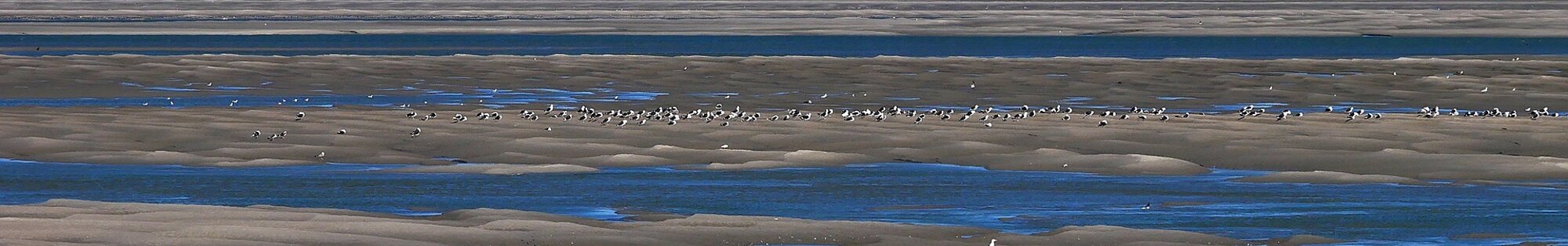 Walking and Cycling in Picardy background image