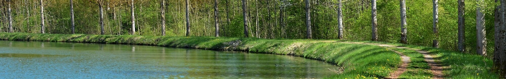 Cycling in the Ardennes background image