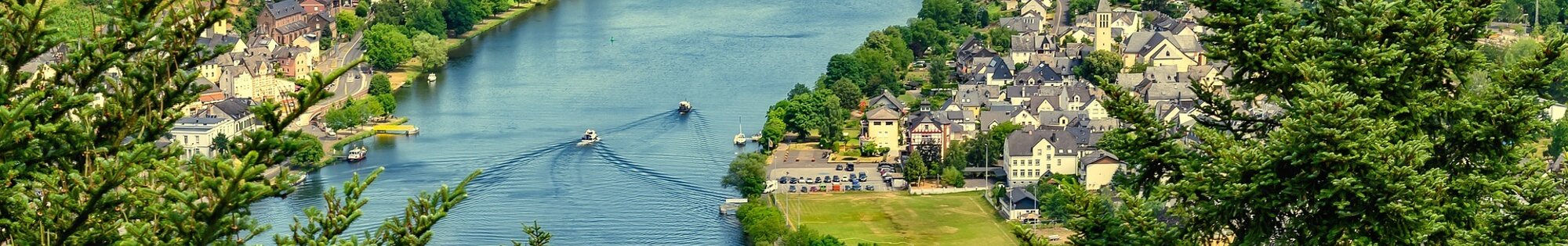 Forests of the Ardennes background image