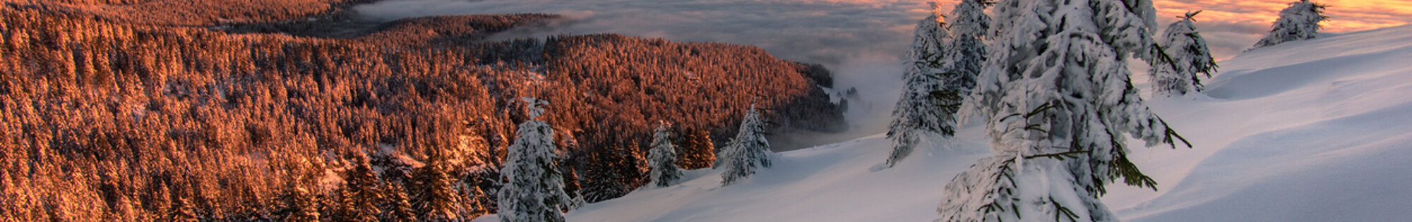 Our Top Picks for December 2023: Where to go guide background image