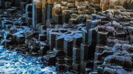 In the footsteps of giants