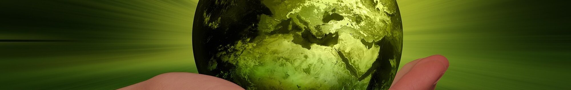 New Feature - Eco-Friendly Campsites Filter background image