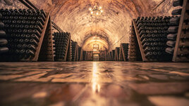 The Best Caves and Cellars in Champagne