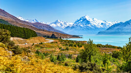 Get the most out of your holiday on a Worldwide escorted tour