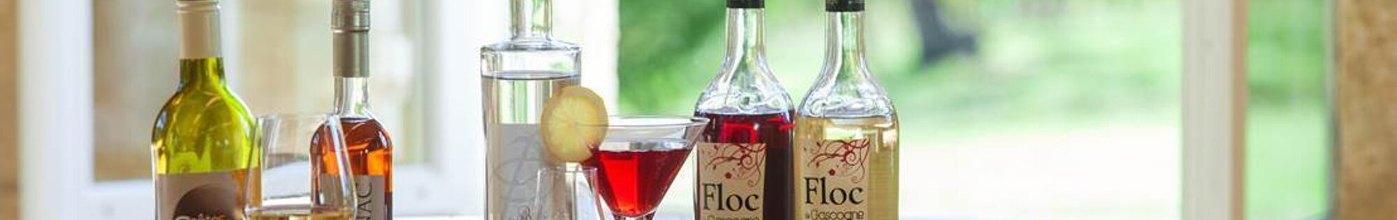 Gastronomy background image