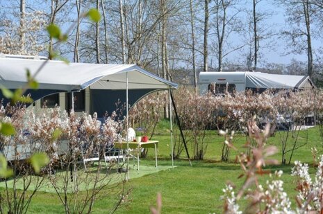 Adults only camping in Holland