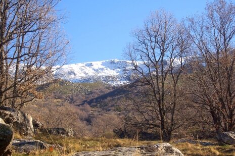 All Year Campsites