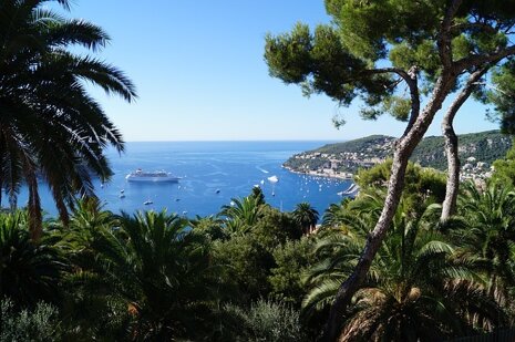 A palm tree lined sea-view in the Côte d’Azur