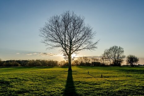 Small campsites