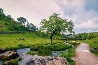 Yorkshire Campsites