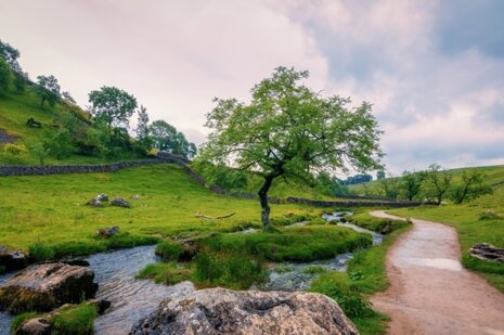 Yorkshire Campsites