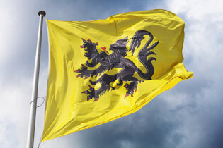 Flandrian Flag