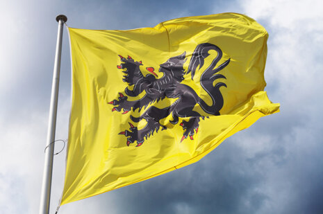 Flandrian Flag