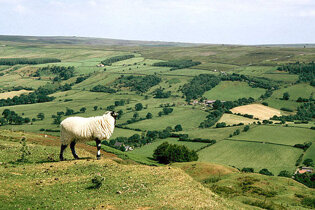 North York Moors National Park