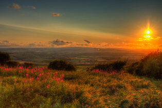 Blackdown Hills AONB