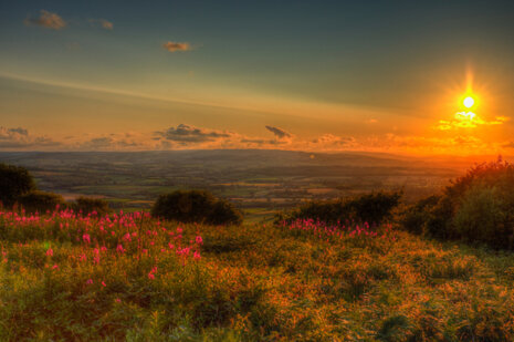 Blackdown Hills AONB