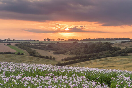 Cranborne Chase AONB