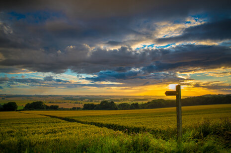 Lincolnshire Wolds AONB