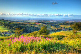 Quantock Hills AONB