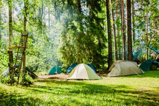 Tents in a forest