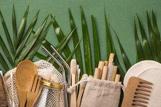 Sustainable cosmetics laid out on green background with leaves