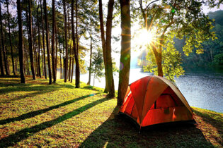 Tent pitched by river in forest