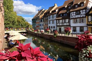 Colmar