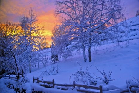Skiing