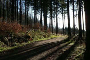 Walking