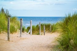 Or just head to the beach