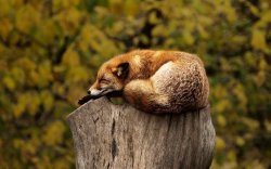 Relax in nature