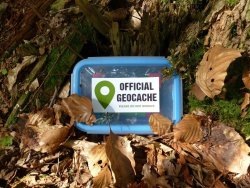 Go geocaching