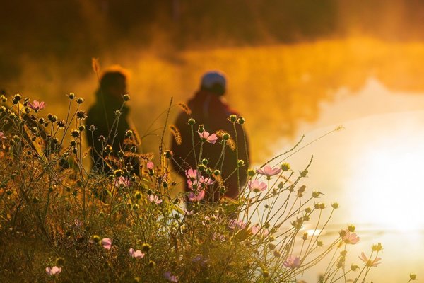 Summer night fishing