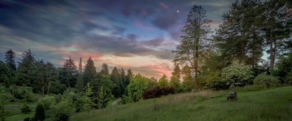 Bedgebury Pinetum