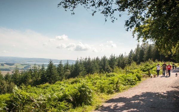 Haldon Forest Park