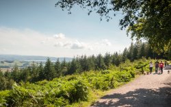 Haldon Forest Park