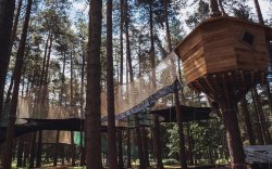 Sherwood Pines Forest Park