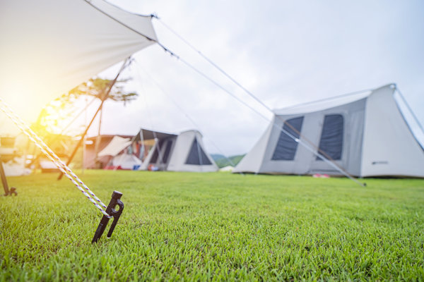 Close up of tent peg anchor