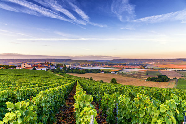 Champagne-Ardenne