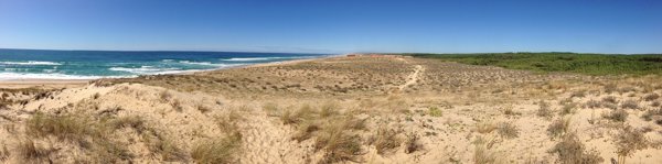 Aquitaine - An Atlantic coast road trip