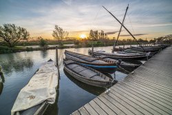 La Albufera