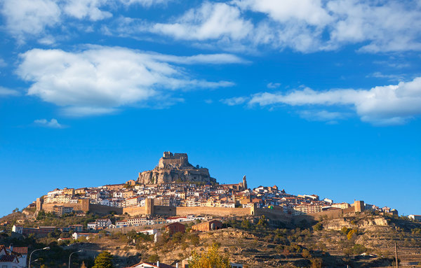 Morella