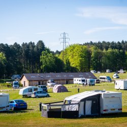 Camping in the Forest