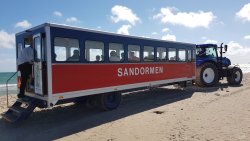 Sandormen - Grenen