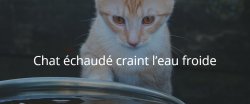 Chat échaudé craint l’eau froide