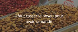 Il faut casser le noyau pour avoir l’amande
